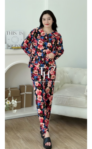 Bộ tole quần dài tay dài (QDTD), cổ sen, 2 túi A2