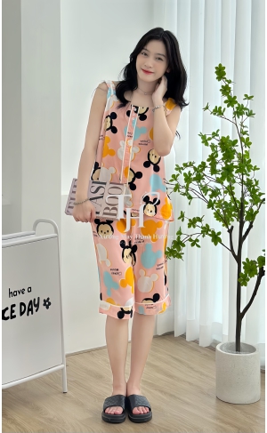 Bộ tole lửng cánh tiên, U viền màu, 3 nút A2