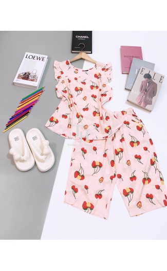 Bộ tole lửng cánh tiên L3