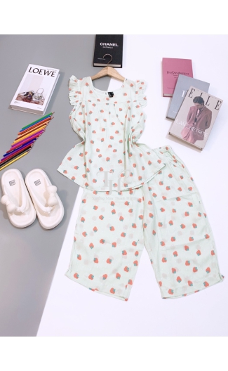 Bộ tole lửng cánh tiên L3
