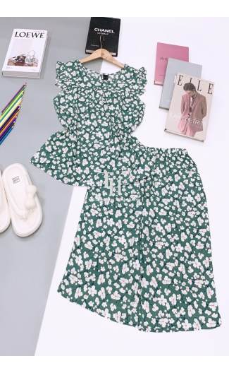 Bộ tole lửng cánh tiên L4
