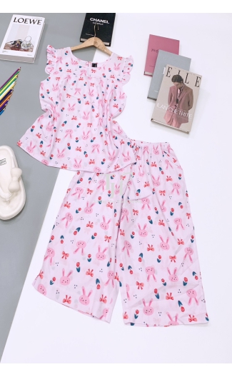 Bộ tole lửng cánh tiên L4
